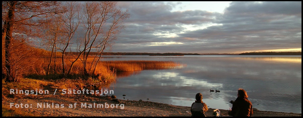Ringsjön vid Sätoftasjön - solnedgång på hösten