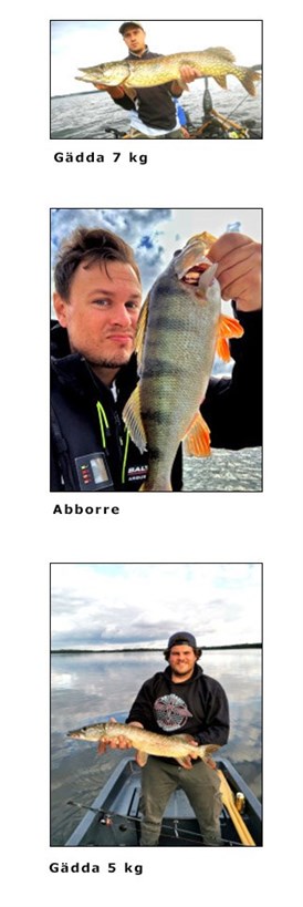 Fiske i Ringsjön med 3 exempel på stora napp